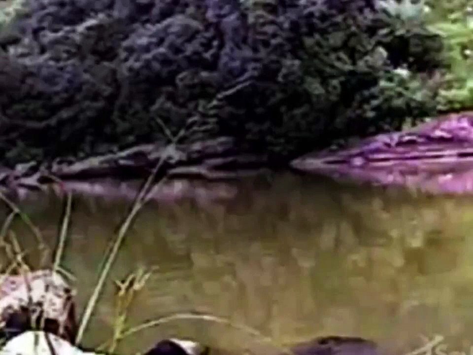 Destination Truth - Se1 - Ep5 Hd Watch