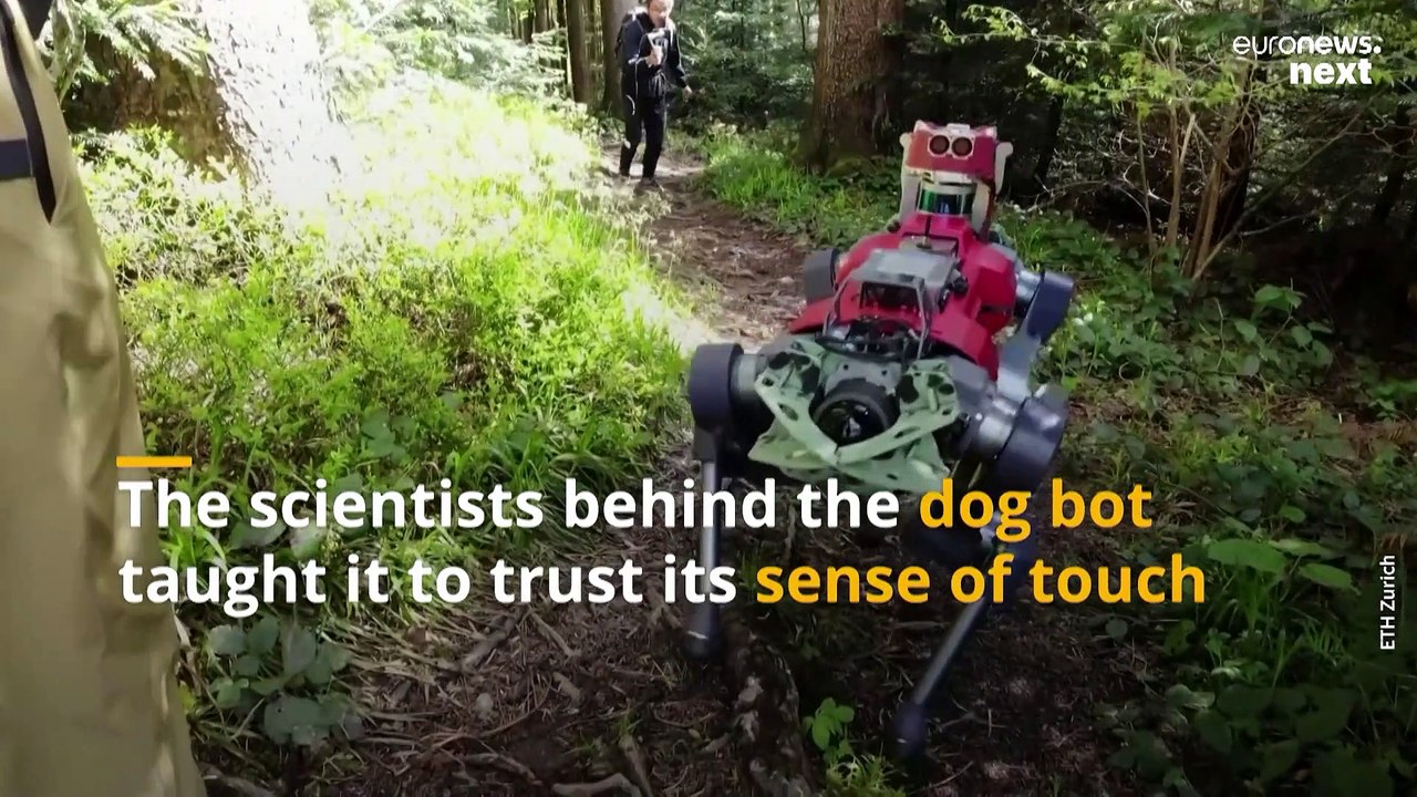 Robot dog that can hike peaks in the Swiss Alps unaided could be used on other planets