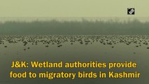 J&K: Wetland authorities provide food to migratory birds in Kashmir