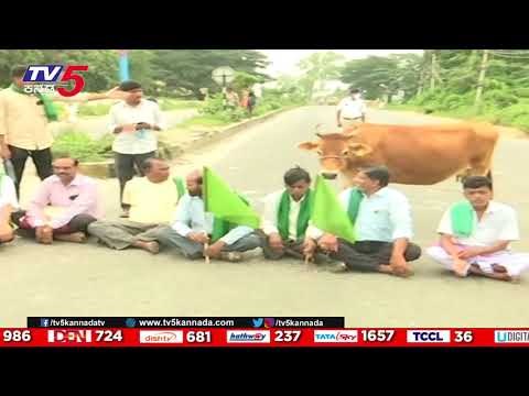 12Pm headlines | tv5 kannada live news update | latest news | breaking news
