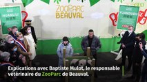 Que faire si un animal s'échappe de son enclos et se retrouve en ville ?