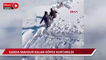 Karda mahsur kalan köpek kurtarıldı