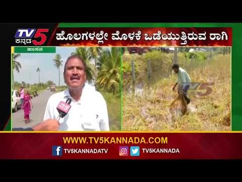 ಶಾಸಕರ ಮುಂದೆ ಅಳಲು ತೋಡಿಕೊಂಡ ಅನ್ನದಾತರು | Shivalinge Gowda | Hassan | Tv5 Kannada