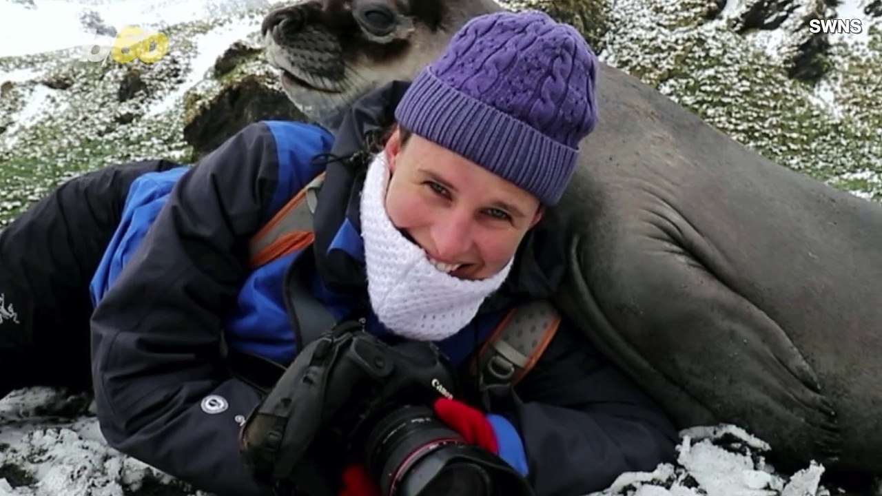 Seal Pup Gets Up Close and Personal, Gives Wildlife Photographer a Hug