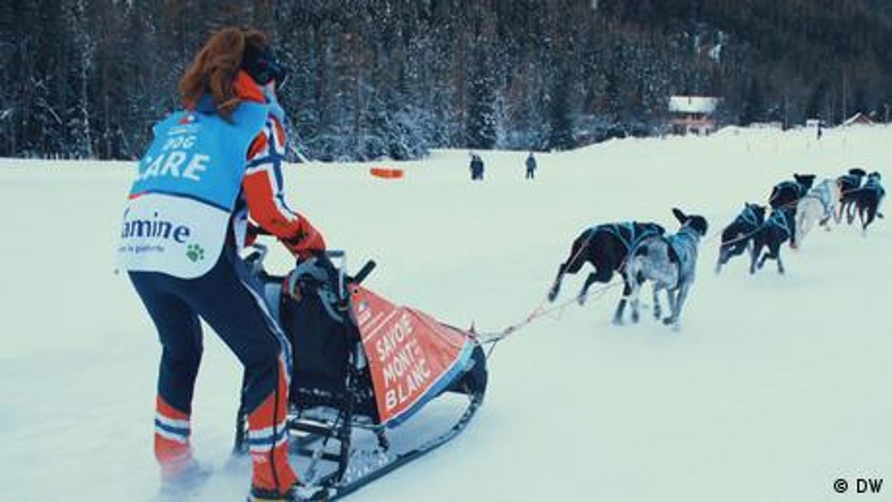 Das Hundeschlittenrennen La Grande Odyssée