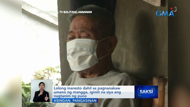 Lolong inaresto dahil sa pagnanakaw umano ng mangga, iginiit na siya ang nagtanim ng puno | Saksi
