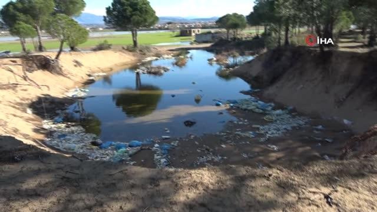 Antalya'da kum hırsızları çevre katliamına sebep oluyor