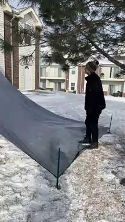 Moving Day Made Easy