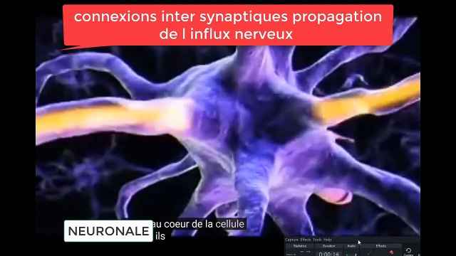 244. A PROPOS DU BONHEUR... COMMENT REUSSIR SA VIE, REALISER SES OBJECTIFS ET ETRE HEUREUX. COACHING