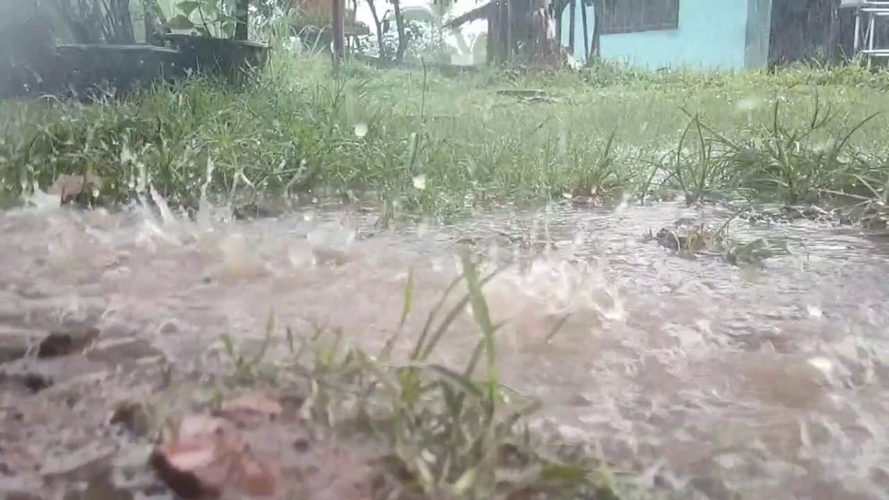Rain 1