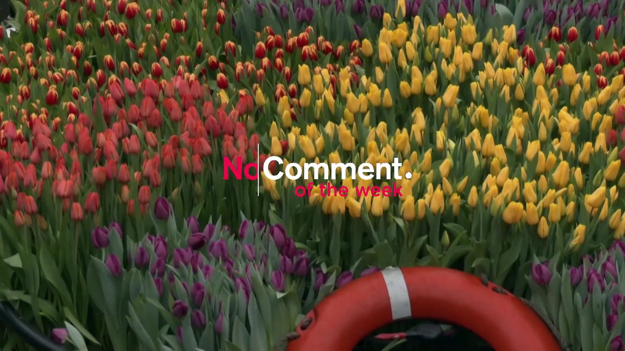 Die No-Comment-Videos der Woche