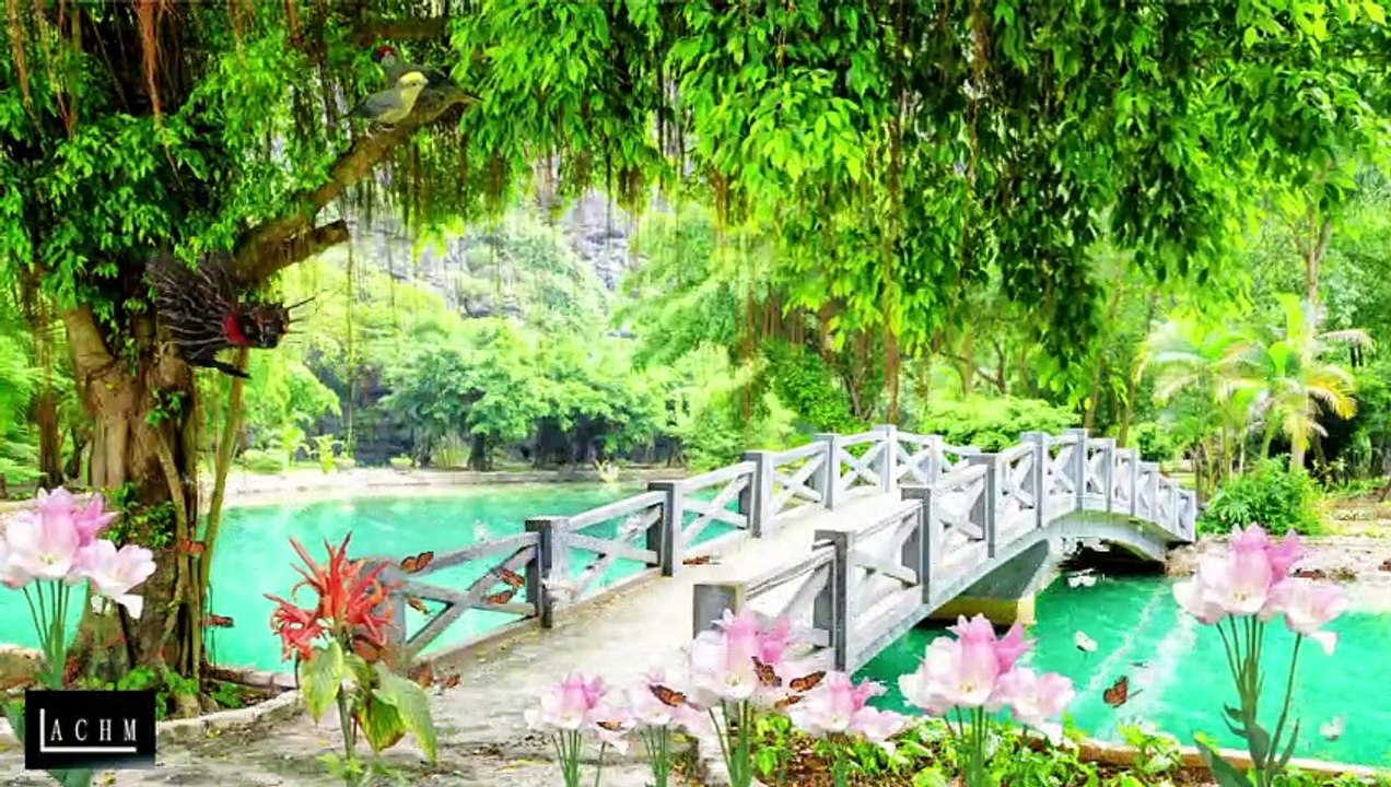 Relaxing Nature Ambiences, Sounds For Background In Twitch, Trovo, Others, Royalty Free