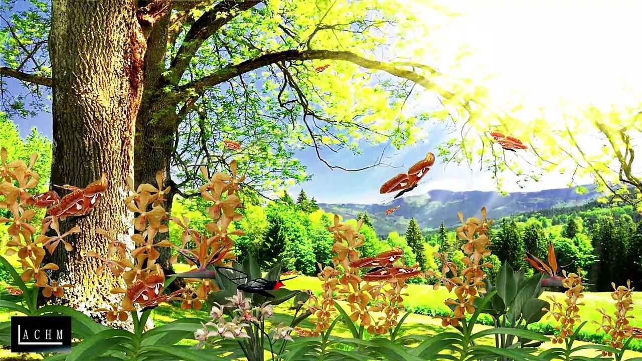Relaxing Nature Ambiences , Sounds For Background In Twitch, Trovo, Others, Royalty Free