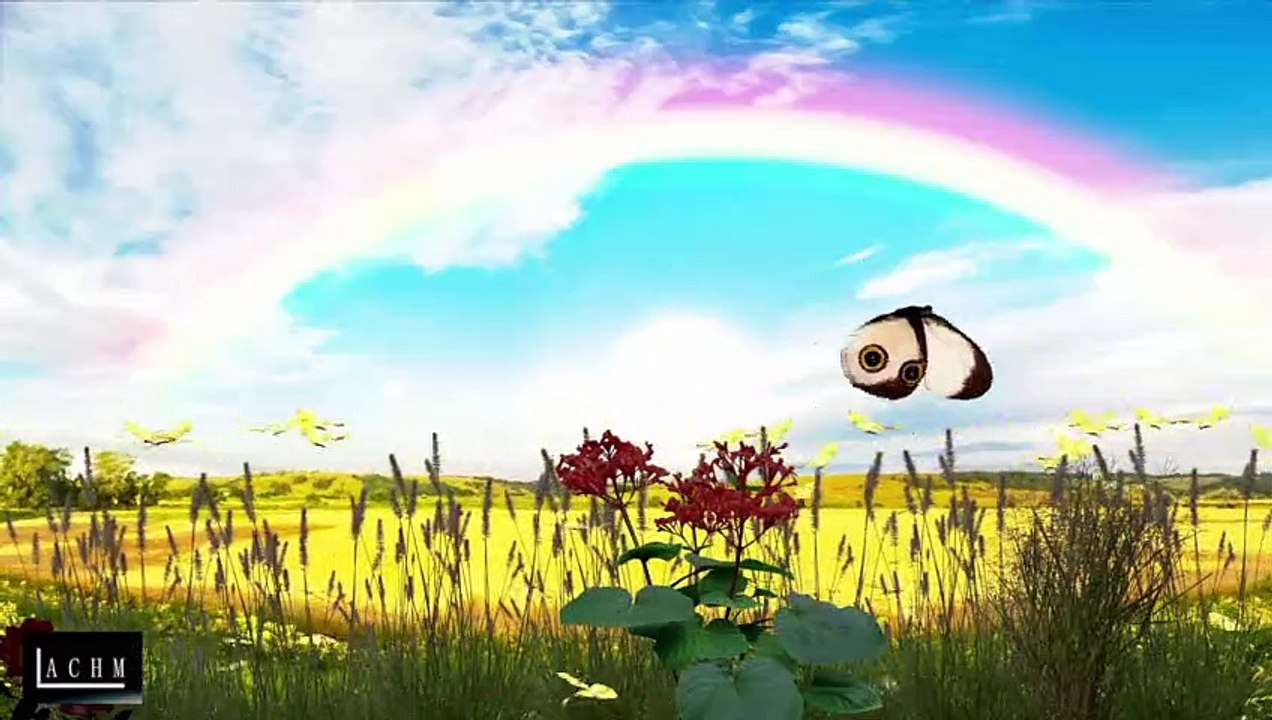 Relaxing Nature Ambiences , Sounds For Background In Twitch, Trovo, Others, Royalty Free