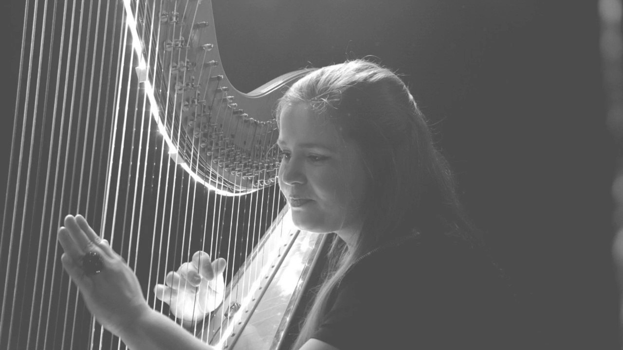 Harp - Music Terminology