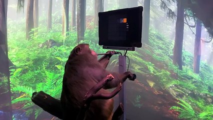 மூளையை கட்டுப்படுத்தும் சிப்.. மனதில் பட்டதை சொல்லும்.. விரைவில் மனித சோதனை!