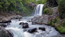 Waterfall and Relaxing Birds Singing Relax 3 Minutes