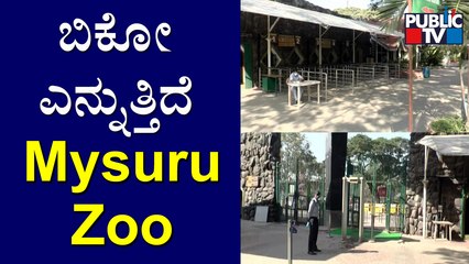 Mysuru Zoo Remain Empty Without Tourists | Covid19 Effect