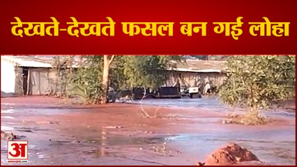ओडिशा के संबलपुर में देखते-देखते फसलें बन गईं लोहा |Submerged in Iron Ore Slurry | Sambalpur |Odisha