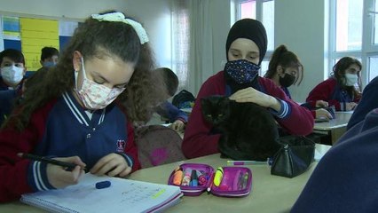 ÖĞRENCİLERİN SOKAKTA BULDUĞU KEDİ OKULUN MASKOTU OLDU