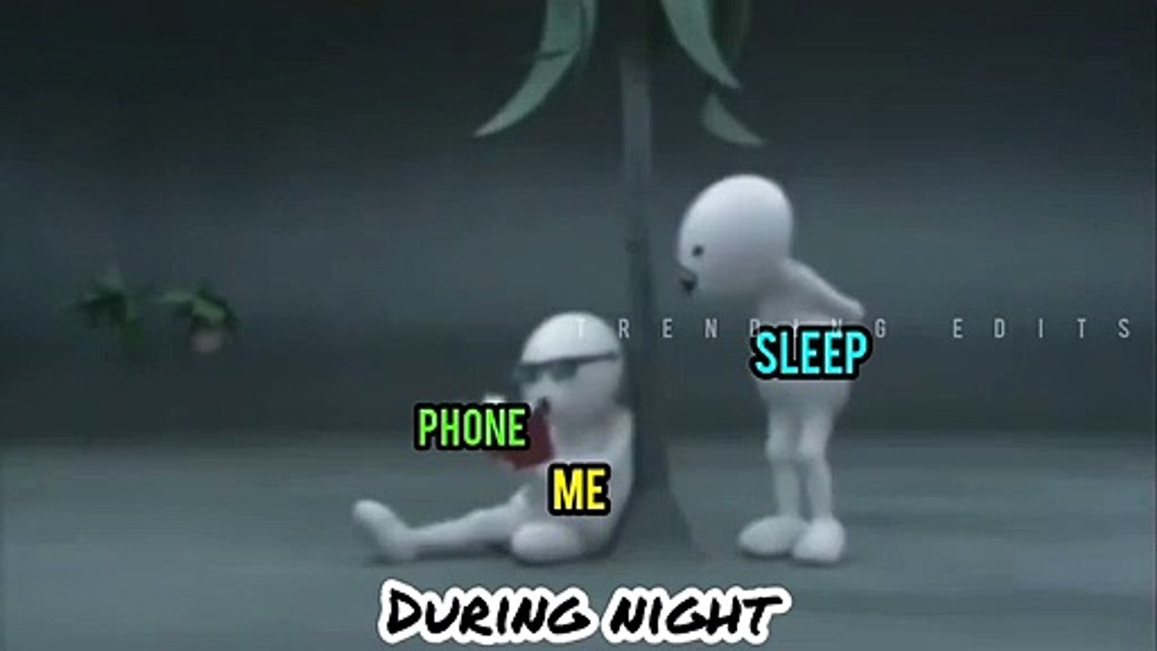 During Night Me Vs Sleep Meme