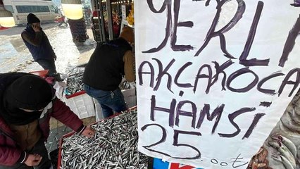 Kar yağdı, hamsi Karadeniz'e geri döndü