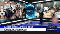 Halk TV sunucusu canlı yayında kendini kaybetti: 