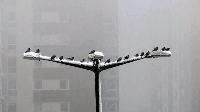 Başkent, kar yağışıyla bembeyaz