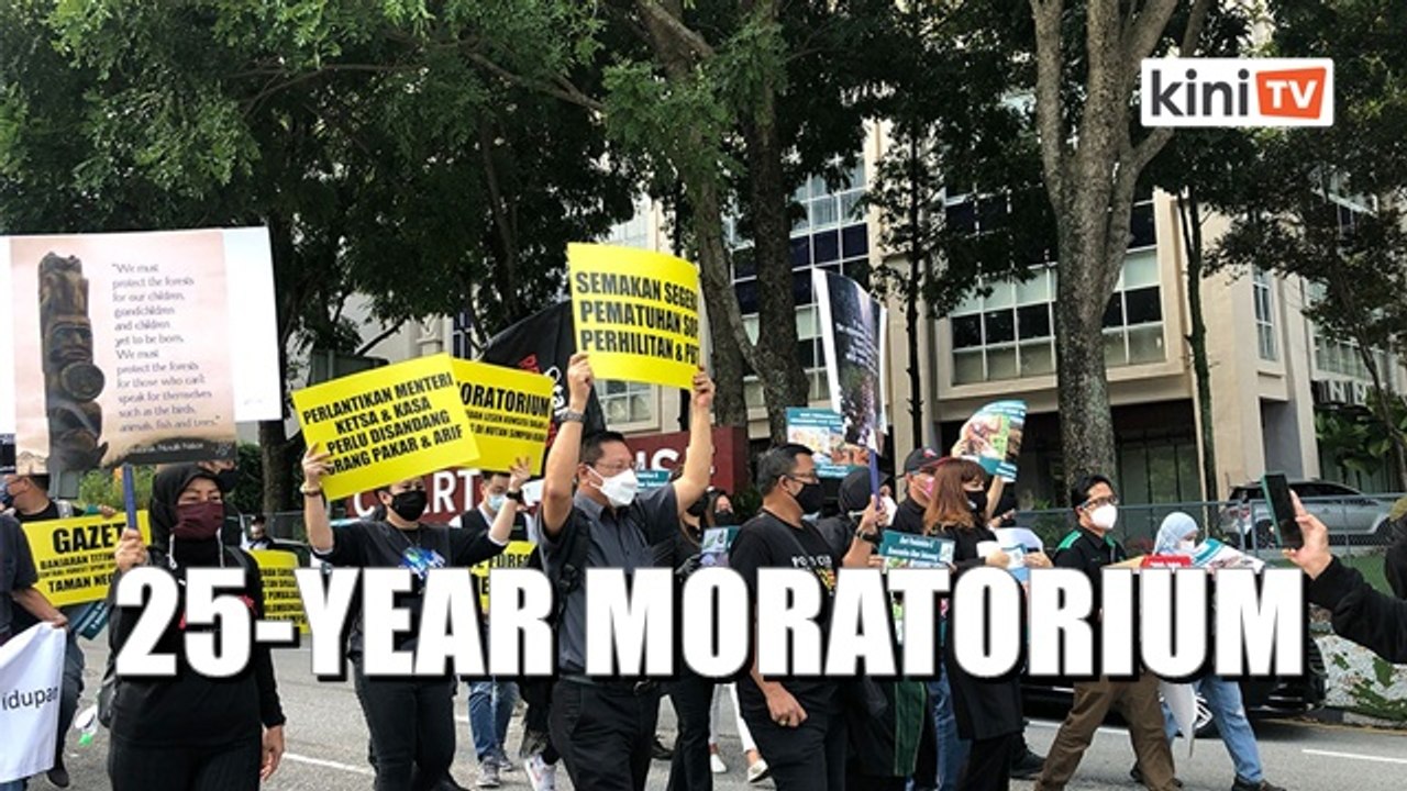 NGOs urge Agong to push for 25-year logging moratorium