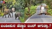 ಬಂಡೀಪುರ ಹೆದ್ದಾರಿ ಬಂದ್ ಆಗುತ್ತಾ..?| Bandipur National Highway | Supreme Court | TV5 Kannada