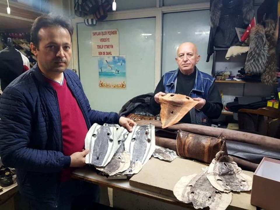 Balon balığı kadın çantası oldu cüzdan, cep telefonu ve bilgisayar kılıfı yolda