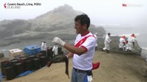 Schwierige Mission an Limas Stränden: Freiwillige retten Tiere nach Ölpest