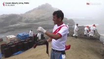 В Перу спасают птиц и животных, пострадавших от разлива нефти