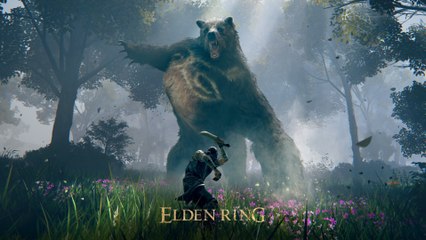 Un ours furieux et des emotes dans Elden Ring