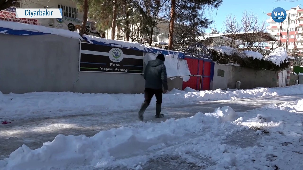 Sokak Hayvanlarına Adanmış Bir Hayat