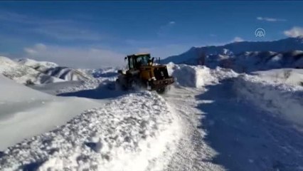 Download Video: Siirt'te karda mahsur kalan 2 çoban ve küçükbaş sürüsü kurtarıldı