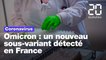Coronavirus: Un nouveau sous-variant d’Omicron détecté en France