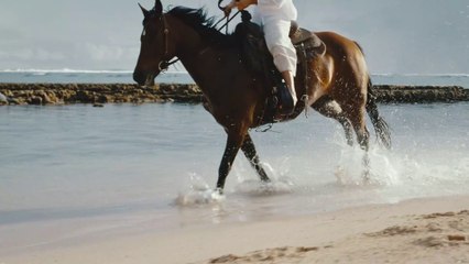 El viento en la isla - Pablo Neruda