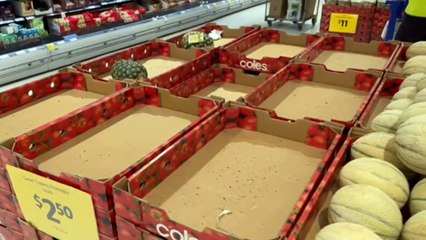 Canberra charities and food shelters feeling pressure of Omicron wave