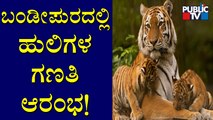 Tiger Census Begins In Bandipur National Park | Public TV