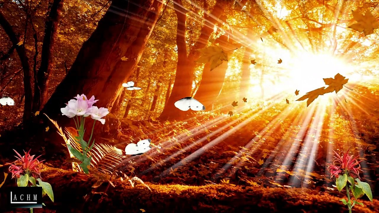 Relaxing Nature Ambiences, Sounds For Background In Twitch, Trovo, Others, Royalty Free