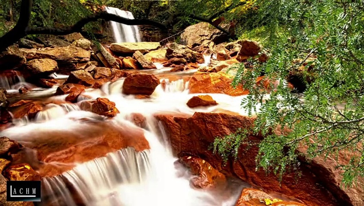 Relaxing Nature Ambiences, Sounds For Background In Twitch, Trovo, Others, Royalty Free