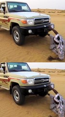 يعلم زوجته السواقة - رياكشنات