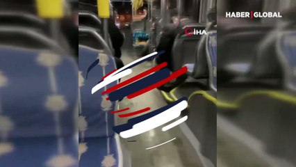 Yağıştan kaçan kedi İETT ile seyahat etti