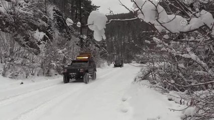 KASTAMONU - Ilgaz Dağı'nın eteklerindeki yaban hayvanlarına yem bırakıldı