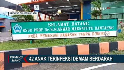 42 Anak di Kabupaten Bantaeng Terinfeksi Demam Berdarah