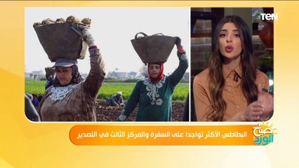 رئيس الإدارة المركزية للبساتين: يتم زراعة 220 الف فدان بطاطس.. وصادراتنا بلغت 650 االف طن سنويا