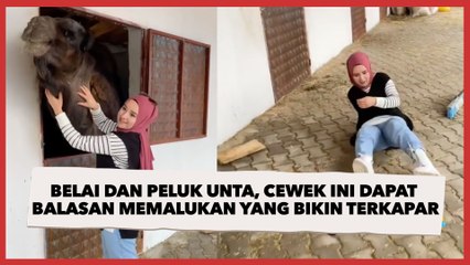 Belai dan Peluk Unta, Cewek Ini Dapat Balasan Memalukan yang Bikin Terkapar