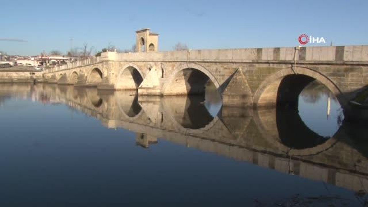 Su maymunları Edirne'yi mesken tuttu
