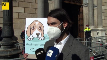 Protesta a Barcelona contra l'experiment de la UB amb cadells de beagle